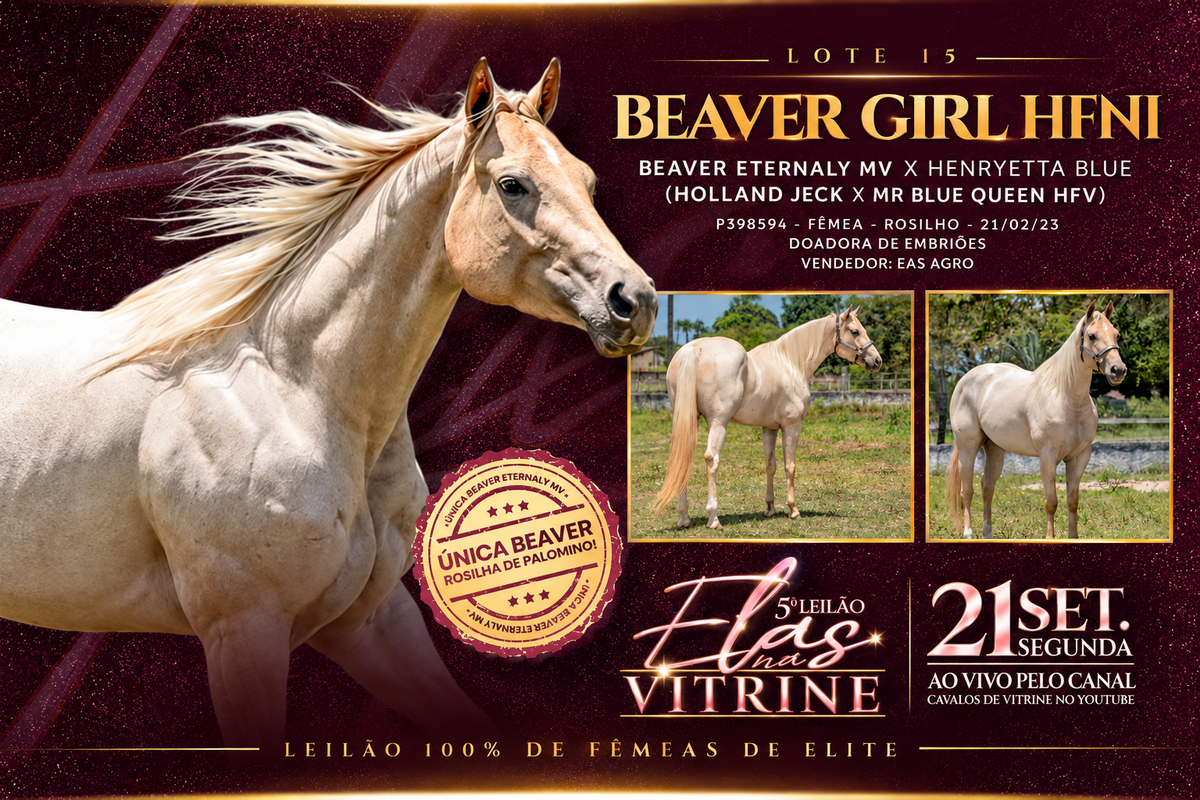 Beaver Girl HFNI