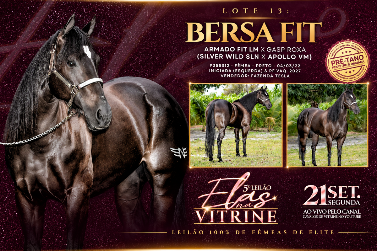 Bersa Fit
