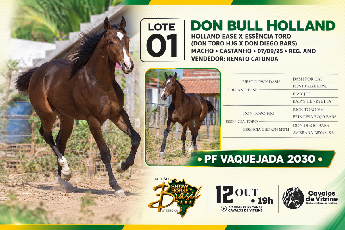 Don Bull Holland