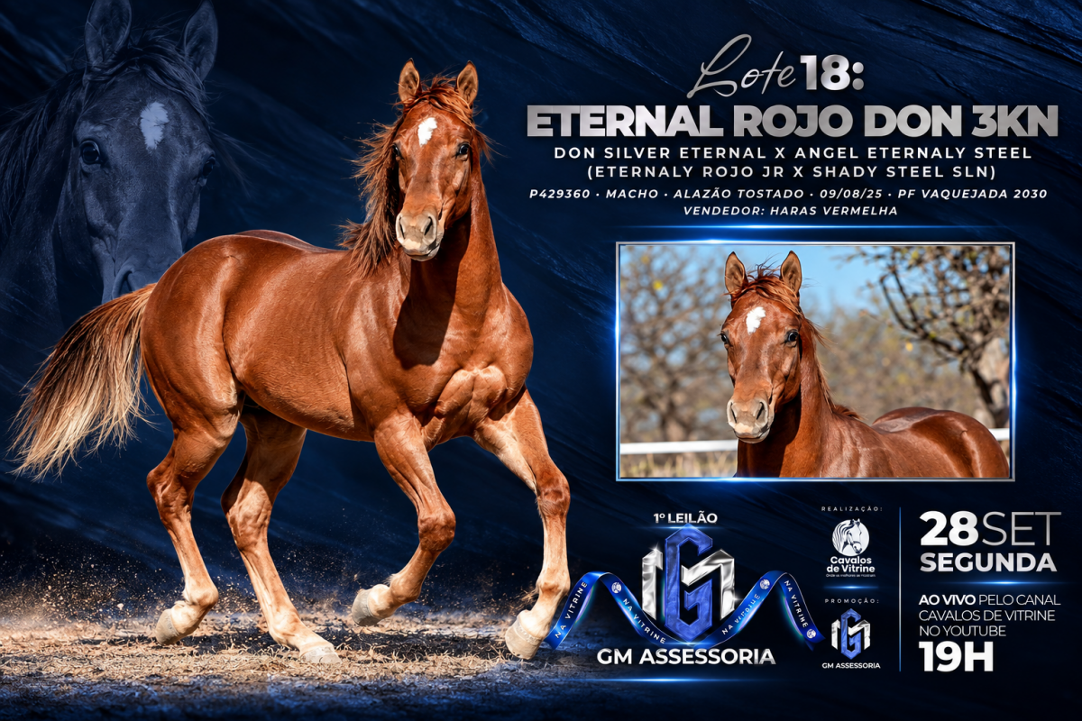 Eternal Rojo Don 3KN