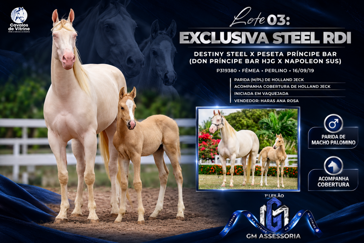 Exclusiva Steel RDI
