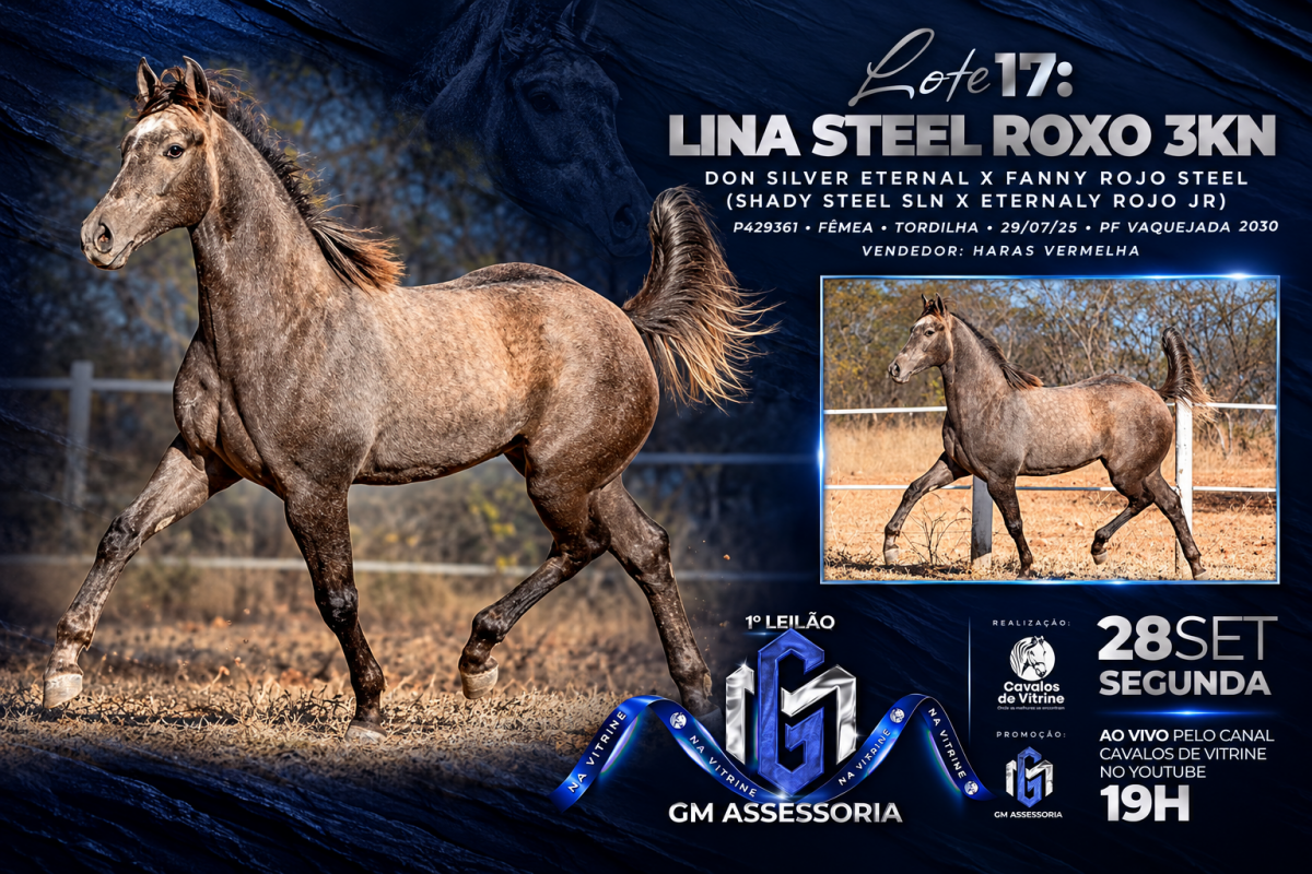 Lina Steel Roxo 3KN