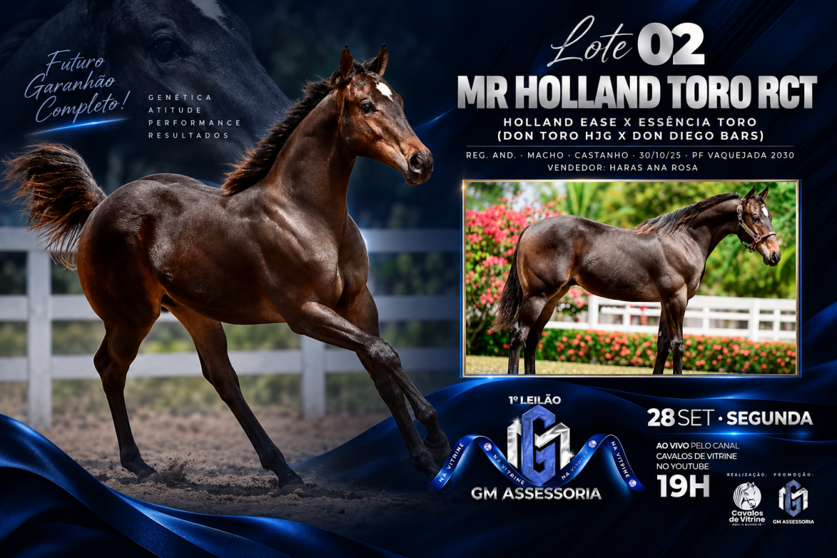 MR Holland Toro RCT