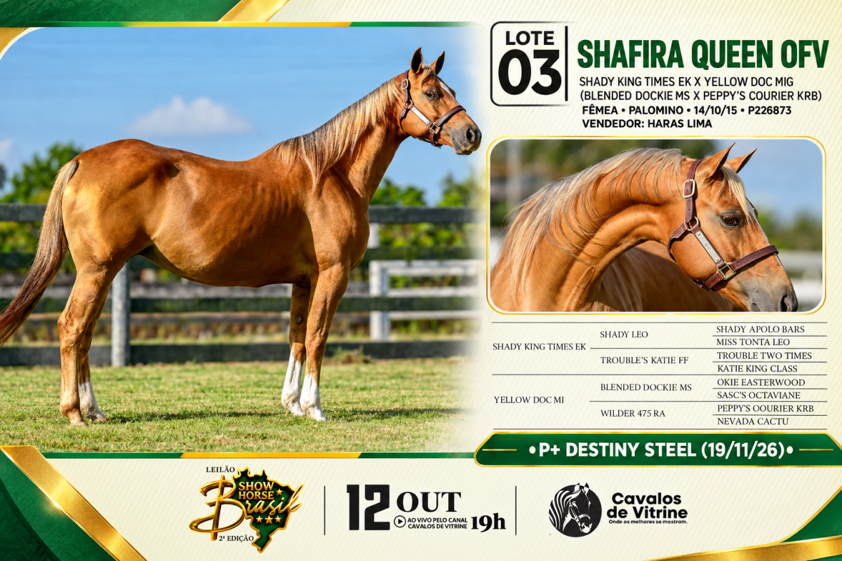 Shafira Quen OFV