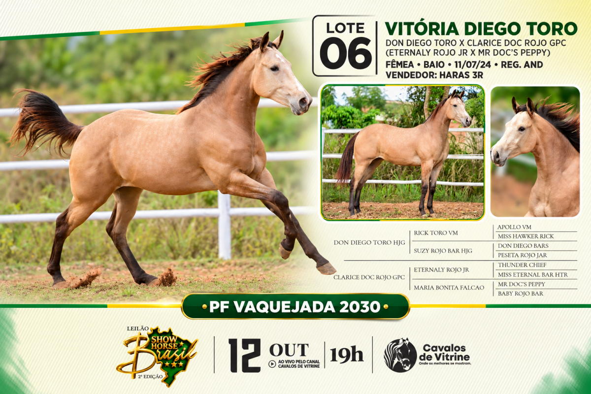 Vitória Diego Toro