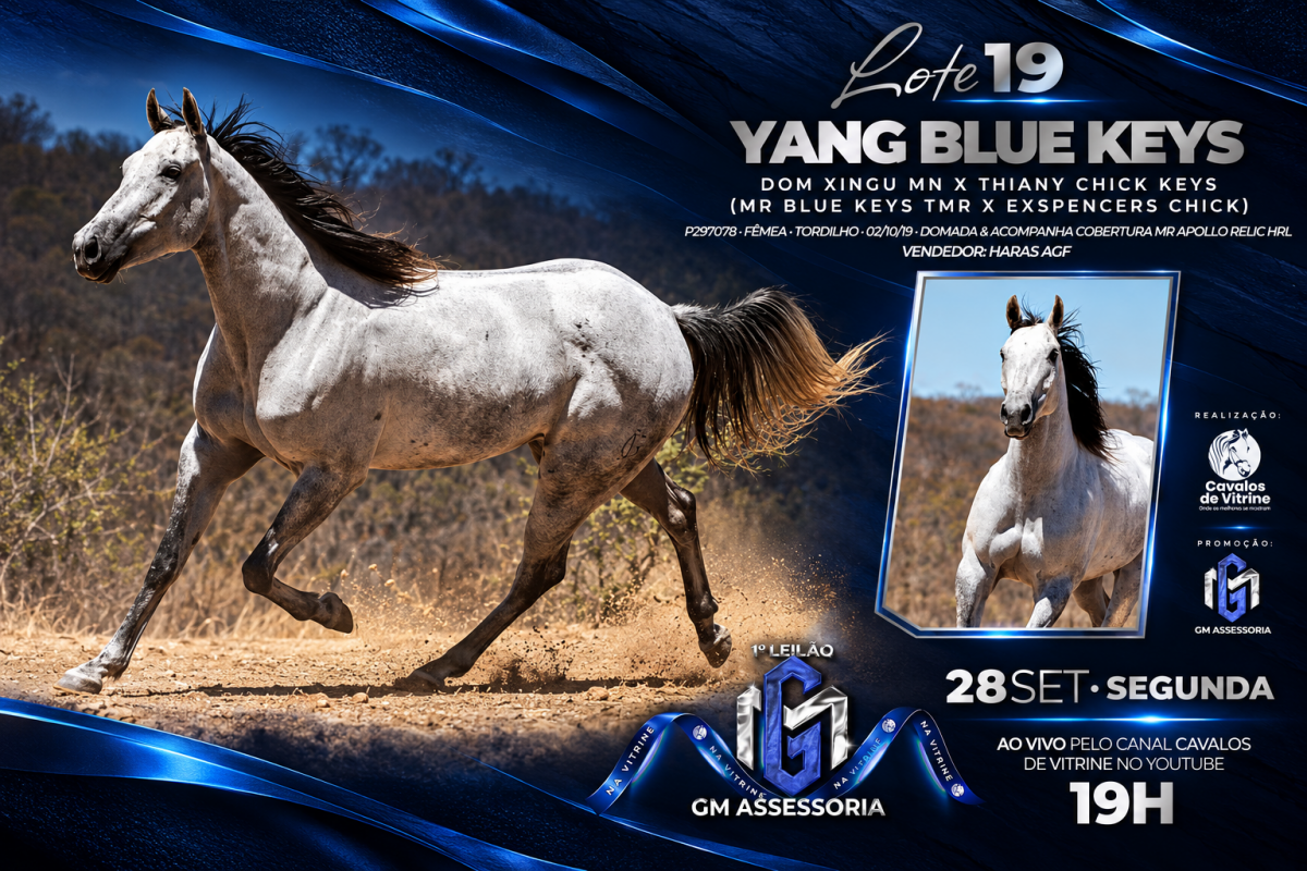 Yang Blue Keys